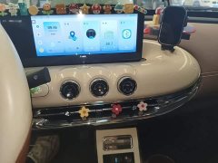 Wuling Binguo 333km Joy Edition - ფოტო 13