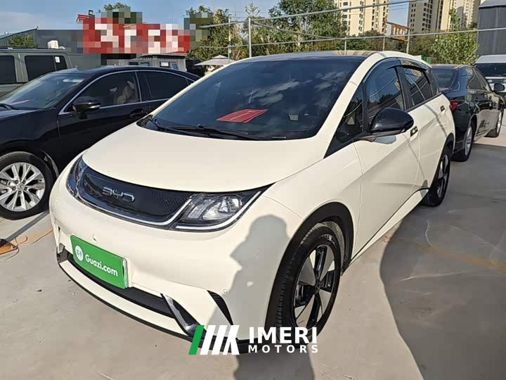 BYD Dolphin 420km Fashion Edition