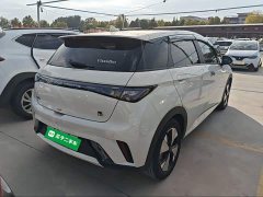 BYD Dolphin 420km Fashion Edition - ფოტო 7