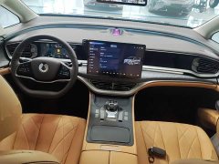 Denza BYD Denza D9 DM-i 1050 Premium - ფოტო 10