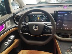 Denza BYD Denza D9 DM-i 1050 Premium - ფოტო 11