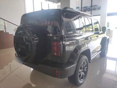 Tank 300 2021 City Edition 2.0T Stylish - ფოტო 7