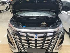 Denza BYD Denza D9 DM-i 980 AWD Luxury - ფოტო 20