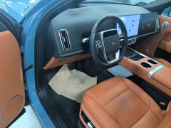 Li Auto L9 Max - ფოტო 16