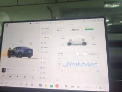 Nio Lerado L60 2025 60kWh Rear-Wheel Drive - ფოტო 13