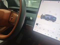 Nio Lerado L60 2025 60kWh Rear-Wheel Drive - ფოტო 14
