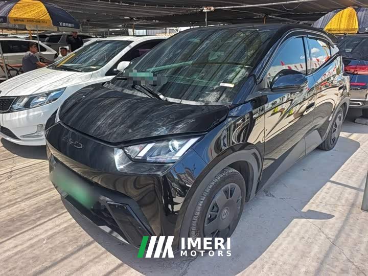 BYD Seagull 2023 Vitality Edition - ავტომობილი ჩინეთიდან