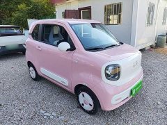 FAW Besturn Xiaoma 2025 222km Dynamic Edition - ფოტო 4