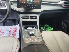 BYD Destroyer 05 Champion Edition DM-i 55KM Luxury - ფოტო 14