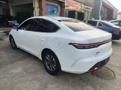 BYD Destroyer 05 Champion Edition DM-i 55KM Luxury - ფოტო 5