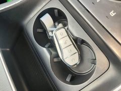 BYD Destroyer 05 Champion Edition DM-i 55KM Luxury - ფოტო 9