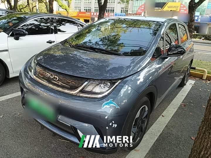 BYD Dolphin Glory Edition 420km Fashion Version - ავტომობილი ჩინეთიდან