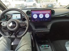 BYD Dolphin Glory Edition 420km Fashion Version - ფოტო 10