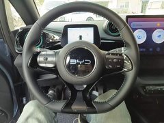 BYD Dolphin Glory Edition 420km Fashion Version - ფოტო 11