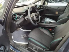 BYD Dolphin Glory Edition 420km Fashion Version - ფოტო 16