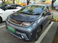 BYD Dolphin Glory Edition 420km Fashion Version - ფოტო 2