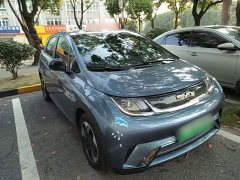 BYD Dolphin Glory Edition 420km Fashion Version - ფოტო 4