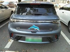 BYD Dolphin Glory Edition 420km Fashion Version - ფოტო 6