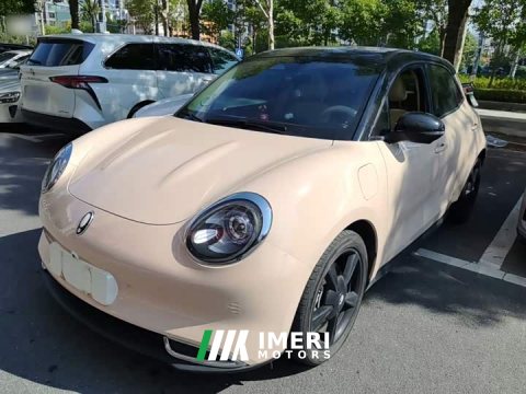 2024 ORA Good Cat 401km Luxury - ავტომობილი ჩინეთიდან