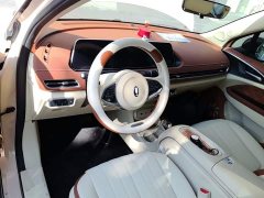 ORA Good Cat 401km Luxury - ფოტო 10