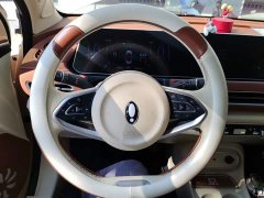 ORA Good Cat 401km Luxury - ფოტო 11