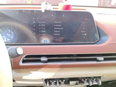 ORA Good Cat 401km Luxury - ფოტო 13