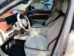 ORA Good Cat 401km Luxury - ფოტო 15