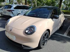ORA Good Cat 401km Luxury - ფოტო 2