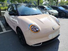 ORA Good Cat 401km Luxury - ფოტო 4