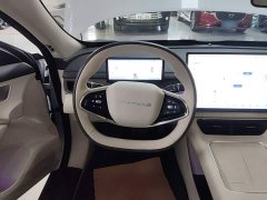 Dongfeng Xinghai S7 235 Extended Range Luxury Edition - ფოტო 11