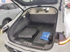 Dongfeng Xinghai S7 235 Extended Range Luxury Edition - ფოტო 19