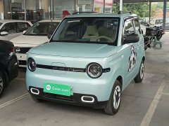 Geely Panda Mini 210km Vitality Edition - ფოტო 1