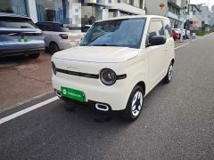 Geely Panda Mini 210km Vitality Edition - ფოტო 2