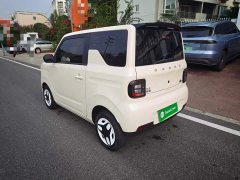 Geely Panda Mini 210km Vitality Edition - ფოტო 5
