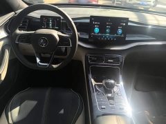 BYD Qin Plus DM-i 55KM Flagship - ფოტო 10