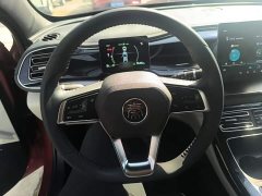 BYD Qin Plus DM-i 55KM Flagship - ფოტო 11