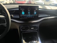 BYD Qin Plus DM-i 55KM Flagship - ფოტო 13