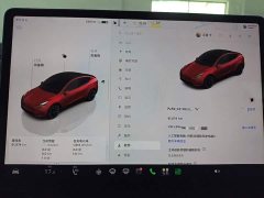 Tesla Model Y 2022 Facelift Rear-Wheel Drive - ფოტო 12