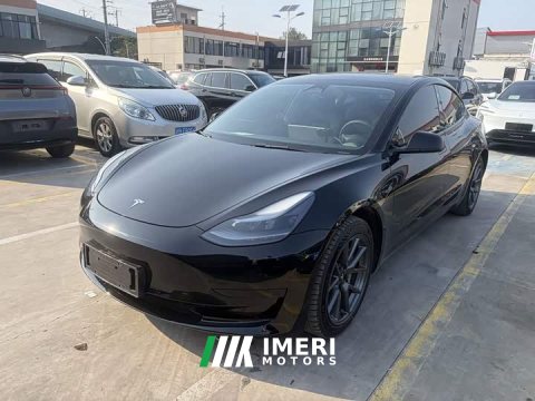 2023 Tesla Model 3 2022 Rear-Wheel Drive - ავტომობილი ჩინეთიდან