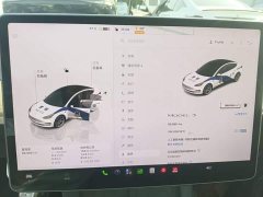Tesla Model 3 2022 Rear-Wheel Drive - ფოტო 12