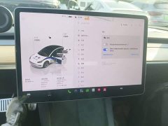Tesla Model 3 2022 Rear-Wheel Drive - ფოტო 13