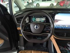 Denza BYD Denza D9 DM-i 1050 Premium - ფოტო 11