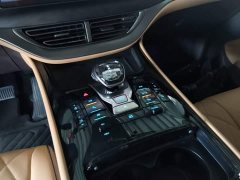 Denza BYD Denza D9 DM-i 1050 Premium - ფოტო 14