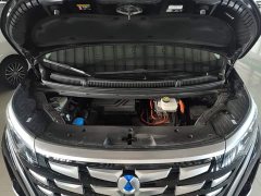 Denza BYD Denza D9 DM-i 1050 Premium - ფოტო 20