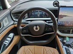 Denza BYD Denza D9 DM-i 970 Luxury - ფოტო 7