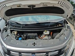 Denza BYD Denza D9 DM-i 970 Luxury - ფოტო 16