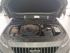 Geely Xingrui 2023 2.0T Diesel Luxury - ფოტო 20