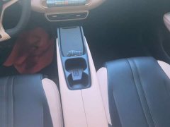 BYD Seagull Glory Edition 305km Vitality Version - ფოტო 14