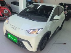 BYD Seagull Glory Edition 305km Vitality Version - ფოტო 2