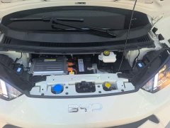 BYD Seagull Glory Edition 305km Vitality Version - ფოტო 20
